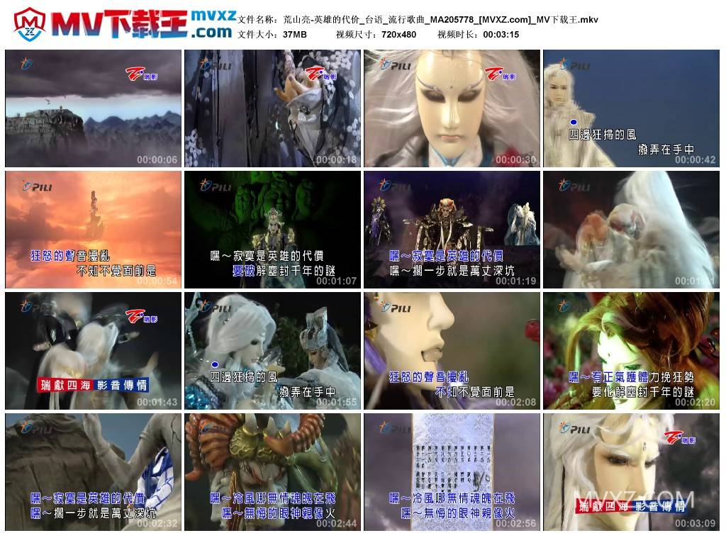 荒山亮-英雄的代价_台语_流行歌曲_MA205778